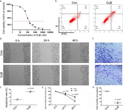 Cucurbitacin B Inhibits Cell Proliferation by Regulating X-Inactive Specific Transcript Expression in Tongue Cancer